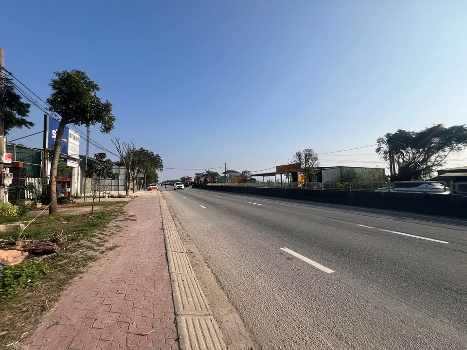 Đất nền kinh doanh xã Cẩm Thành 100m² giá chỉ 2 tỷ - Cơ hội đầu tư hiếm có!