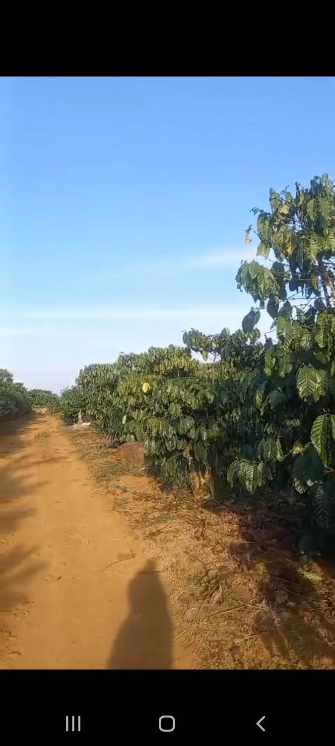 Đất nền Lộc Quảng, Bảo Lâm 900m² giá 1.6 tỷ - vị trí đẹp, 2 mặt đường rộng rãi!