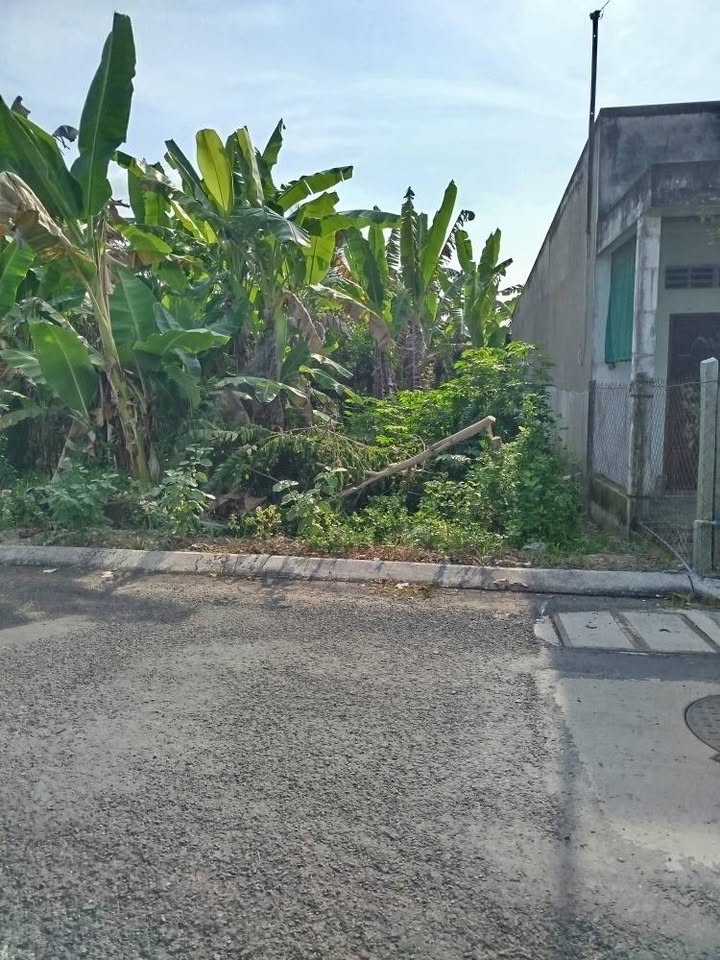 Đất mặt tiền nhánh nhựa Võ Văn Kiệt, Trà Vinh 100m² - Giá chỉ 750 triệu!