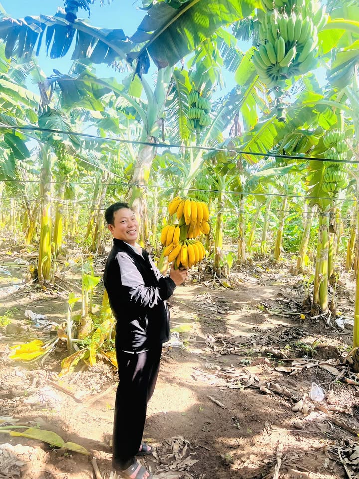 Đất thổ cư Hòa Phú 1500m² giá 1.44 tỷ - Đầu tư sinh lời hấp dẫn!