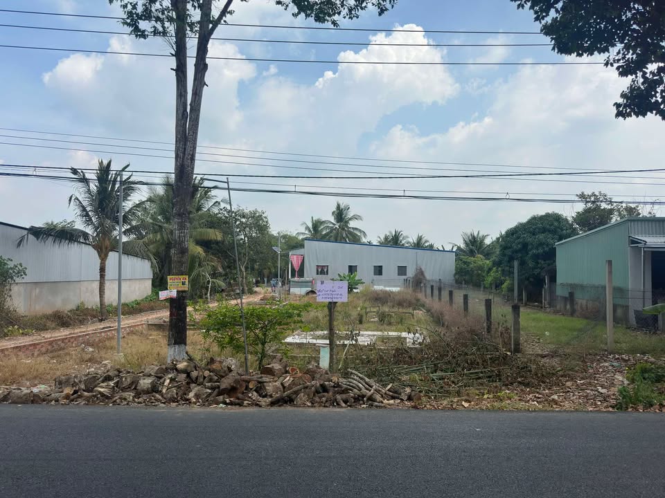 Đất nền thổ cư đường Trần Kiết Tường, 205m² - Đầu tư sinh lời ngay!