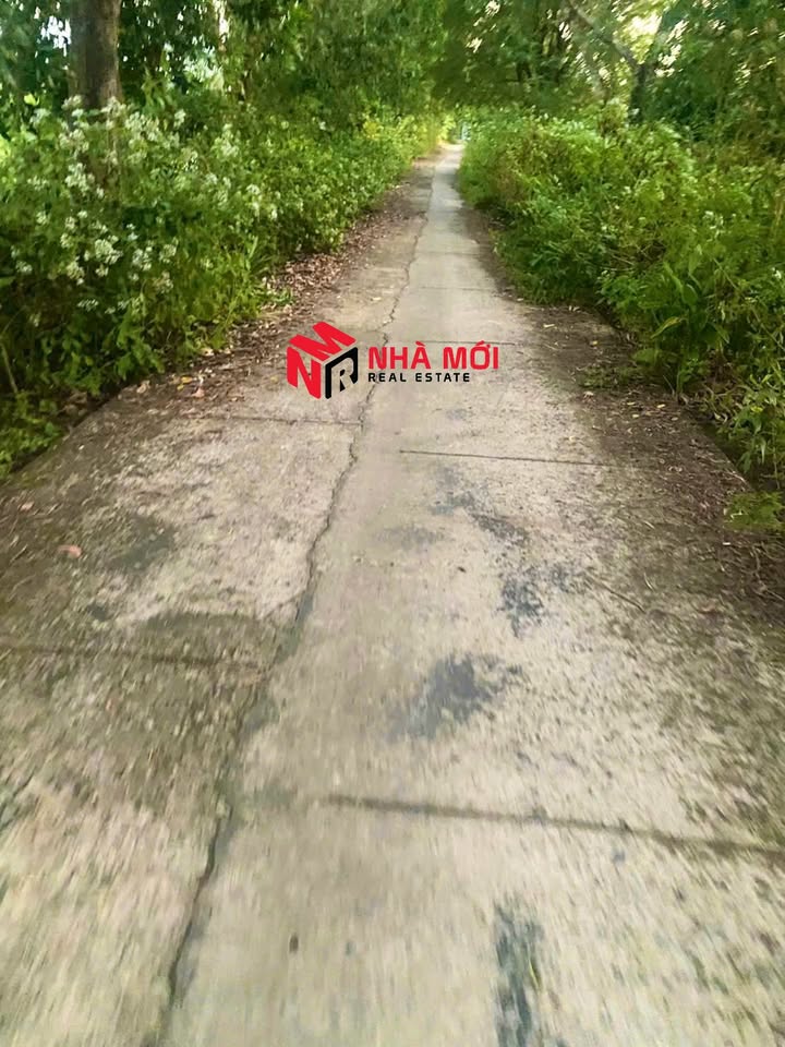 Đất farm Đầm Dơi 130000m² giá 1.95 tỷ - Phù hợp nghỉ dưỡng và đầu tư