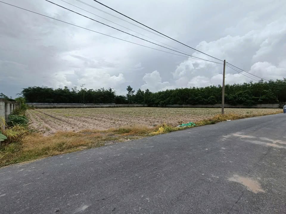 Đất nền mặt tiền Phan Thị Vẽ, Củ Chi 7835m² - Đầu tư sinh lời hấp dẫn!