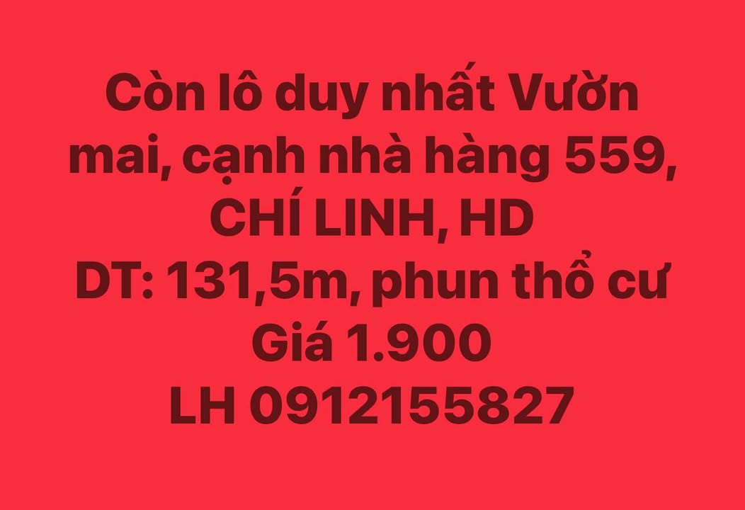 Đất nền Vườn Mai, Chí Linh, 131.5m² giá 1.9 tỷ - Đầu tư sinh lời ngay!