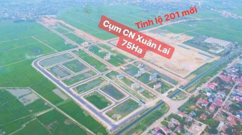 Đất nền đường đôi Xuân Lai, 100m² - Đầu tư sinh lời ngay!