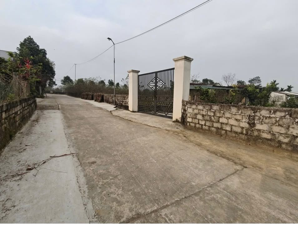 Đất nền Xã Triệu Sơn, Huyện Triệu Sơn, 132m² giá chỉ 300 triệu - Cơ hội đầu tư hấp dẫn!