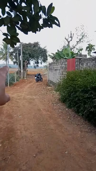 Đất nền 5.000m² Xã Lam Sơn, Huyện Ngọc Lặc - Cơ hội đầu tư sinh lời!