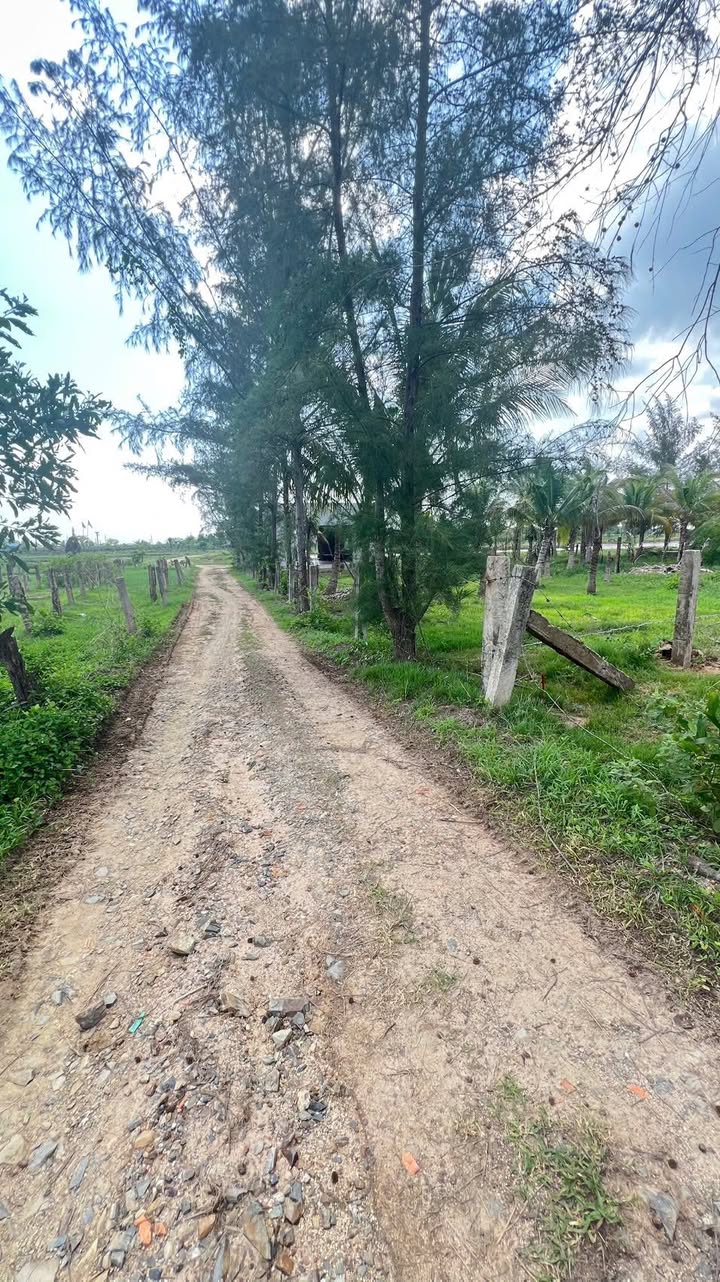 Đất nền 1.700m² tại Hàm Thuận Bắc - Giá chỉ 6.12 tỷ, cơ hội đầu tư hấp dẫn!