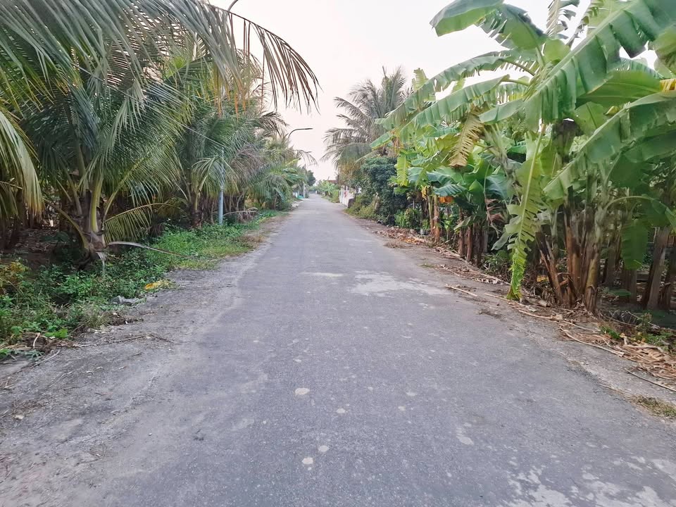 Đất nền An Trường, Hải Phòng 72m² giá 1 tỷ - Cơ hội đầu tư vàng!