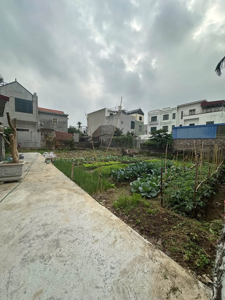 Đất nền ngõ Hoàng Mai, Quận Lê Chân, 73m² giá 1.3 tỷ - Đầu tư sinh lời lý tưởng!