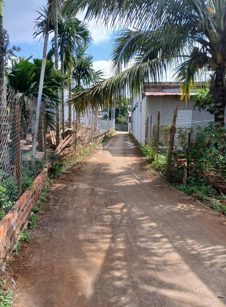 Đất nền hẻm Lý Thường Kiệt, Đắk Mil 180m² giá 820 triệu - Cơ hội đầu tư hấp dẫn!