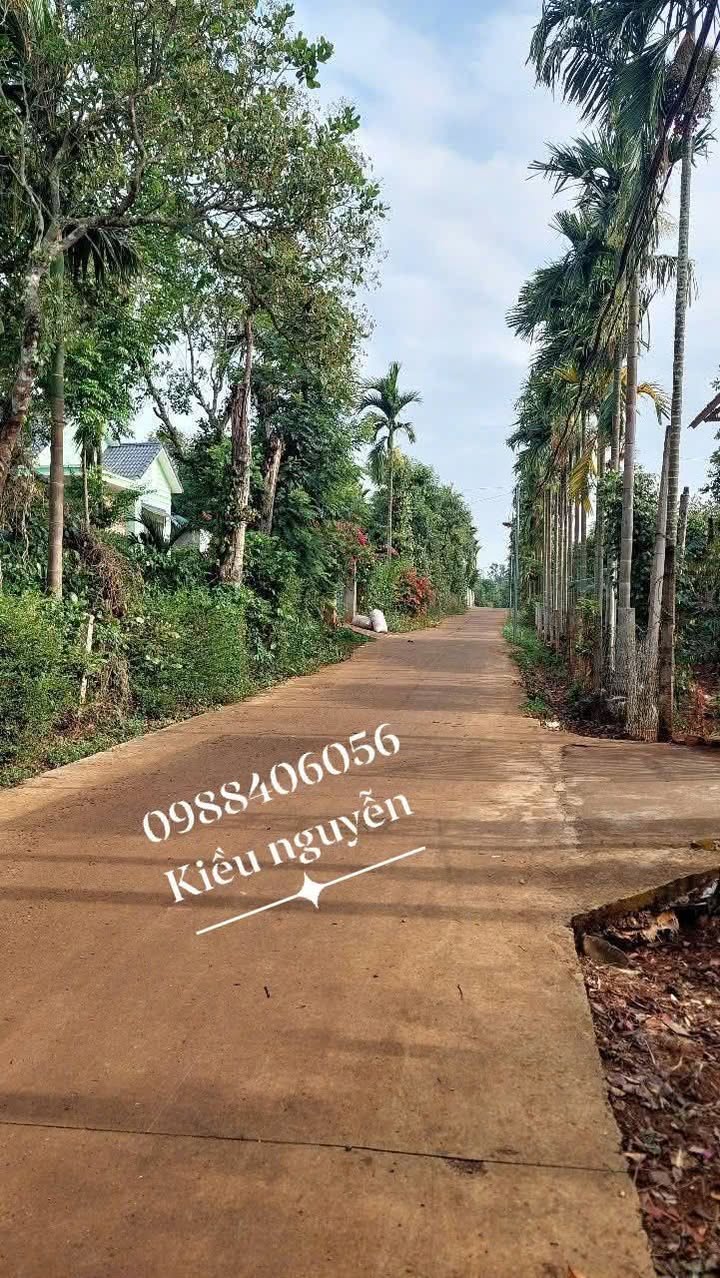 Đất thổ cư 125m² tại Thôn 86, Xã Ea Tiêu, Đắk Lắk - Giá chỉ 3XX triệu!