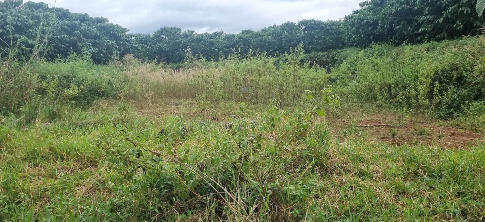 Đất thổ cư 416m² đường Nguyễn Thái Bình, Bảo Lộc - Giá tốt, thương lượng ngay!