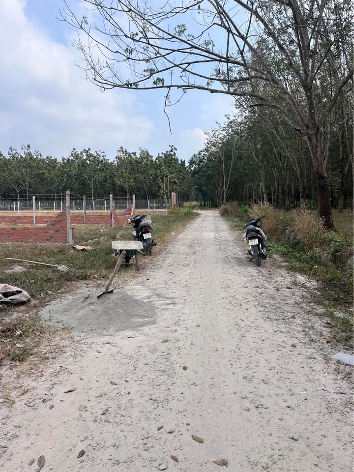 Đất thổ cư tại Bàu Năng, Dương Minh Châu - 210m² giá 380 triệu - Đầu tư sinh lời!