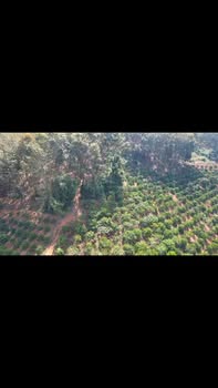 Đất nông nghiệp 9 sào tại Nâm N'Đir, Đắk Nông - Giá chỉ 1.35 tỷ, thương lượng tốt!