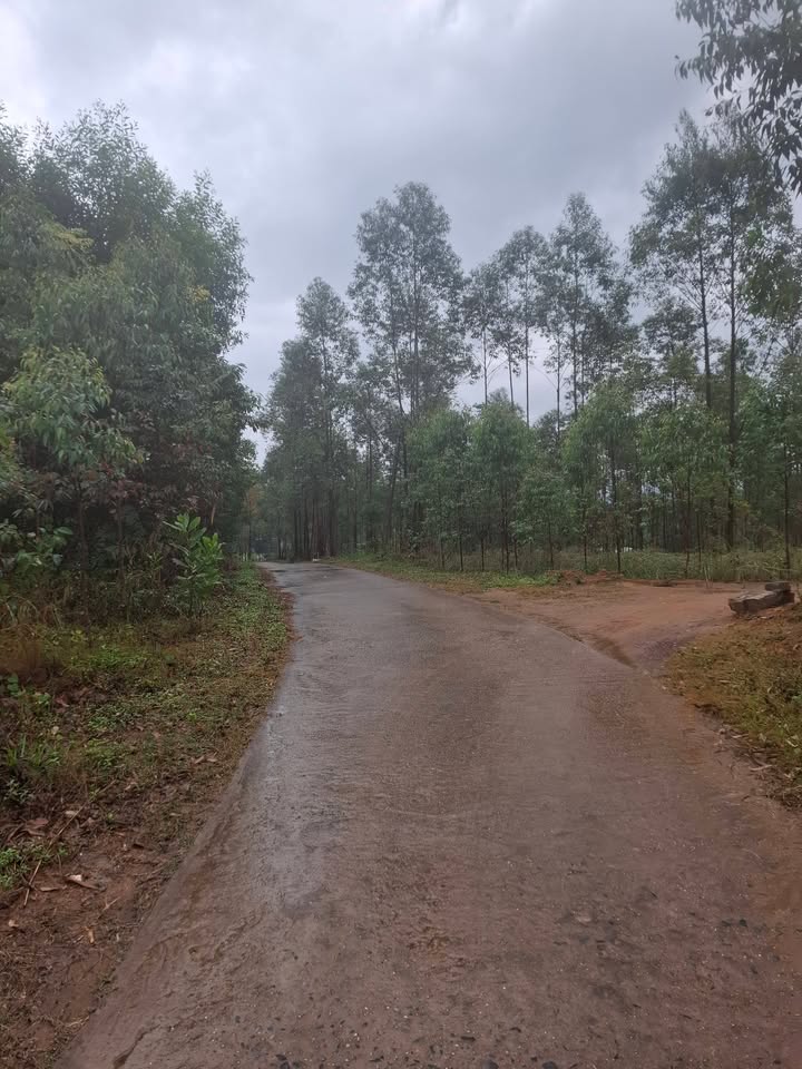 Đất nghỉ dưỡng Phường Thanh Trì, Quận Hoàng Mai 1300m² - Mặt tiền 30m, giá yêu thương!