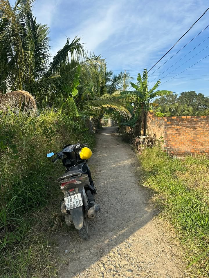 Đất thổ cư 731m² thôn Vĩnh Giang, Sơn Giang giá 800 triệu - Sổ đỏ chính chủ