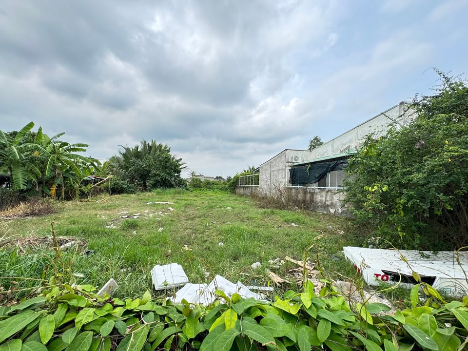 Đất nền hẻm xe hơi Tân xã 256m² giá 1.4 tỷ - Sổ đỏ chính chủ