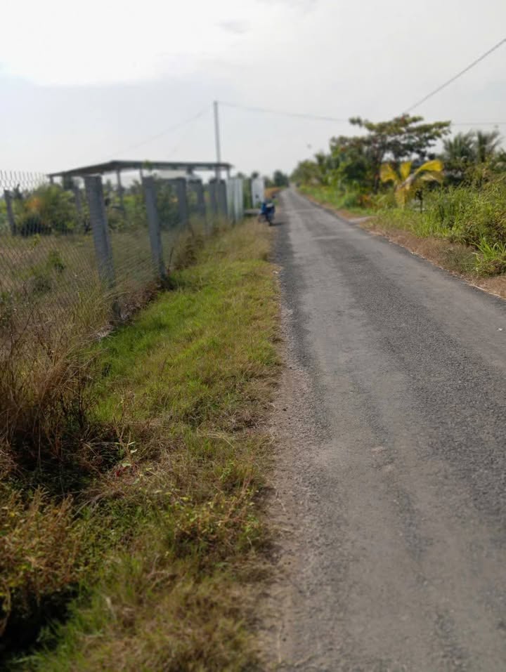 Đất nền mặt tiền nhựa kênh 2 xe tải - 2005m² - Giá 1.55 tỷ - Cơ hội đầu tư hấp dẫn!