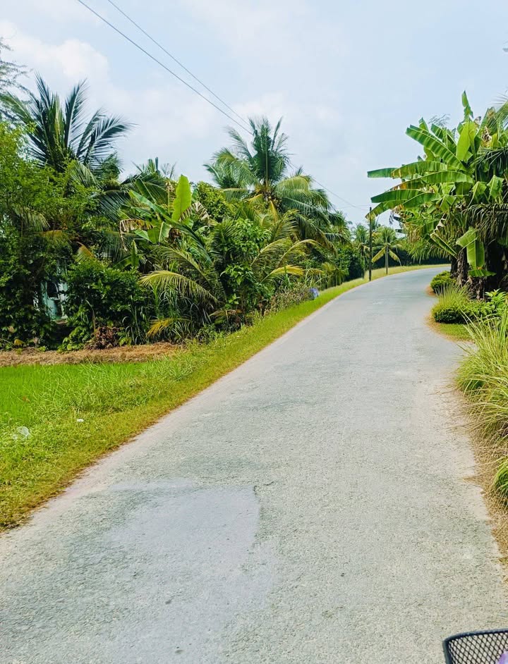 Đất nền Vĩnh Long 1815m² giá 1 tỷ - Cơ hội đầu tư tuyệt vời!