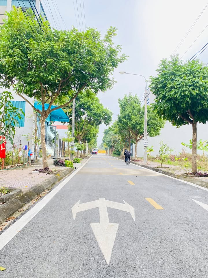 Đất phân lô nhà nước tại Ngoại Trạch, Bình Xuyên, 100m² giá 1.9 tỷ - Đầu tư sinh lời ngay!