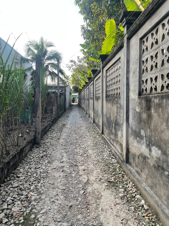 Đất vườn dừa Hòa Lộc 1345m² giá 1.1 tỷ - Đầu tư sinh lời ngay!