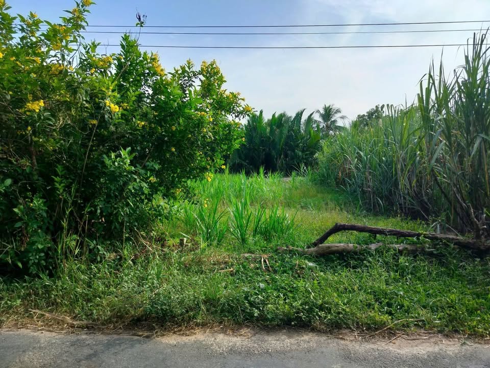 Đất thổ cư mặt tiền Huệ Sanh, Long Đức 115m² chỉ từ 500 triệu - Cơ hội đầu tư tuyệt vời!