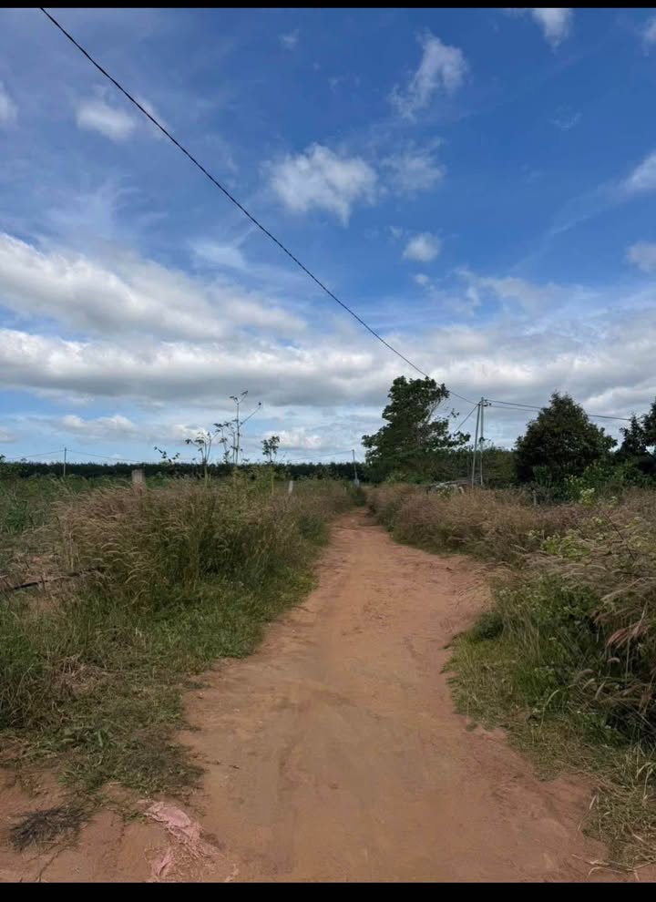 Đất nông nghiệp Tổ 1, phường Ngô Mây, TP Kon Tum 550m² - Giá 100 triệu, cơ hội đầu tư hấp dẫn!