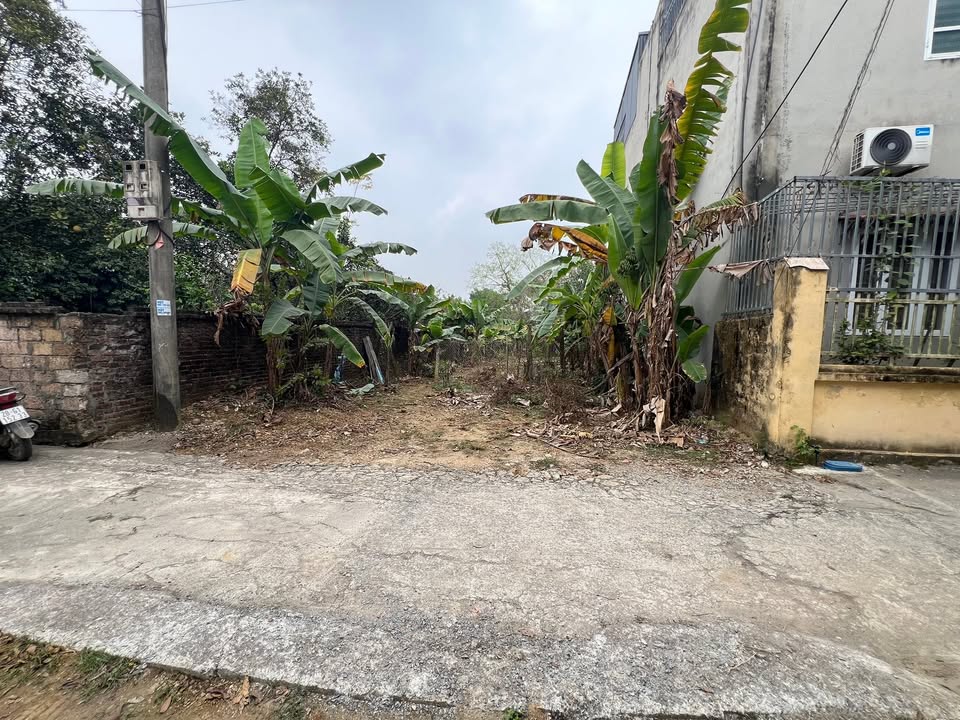 Đất thổ cư 368m² tại Xuân Trung - Đường rộng, giá tốt chỉ 3.68 tỷ!