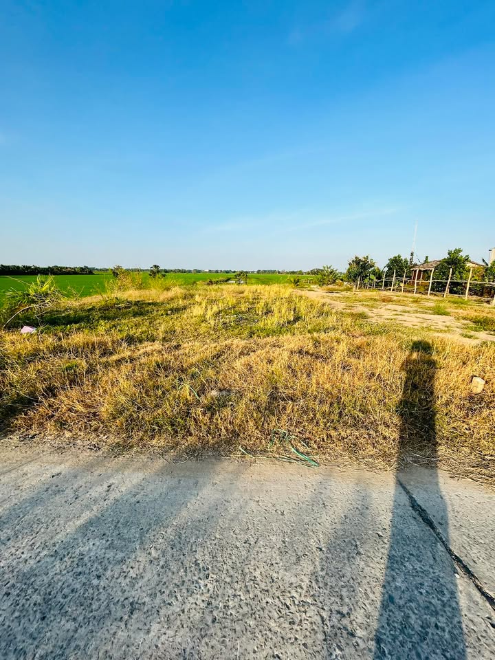 Đất nền Vĩnh Trị 2250m² giá 945 triệu - Đầu tư sinh lời ngay!