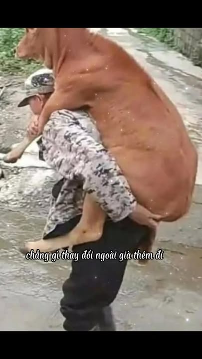 Đất nền xã Cư M'gar 2600m² giá 10.4 tỷ - Đầu tư sinh lời ngay!