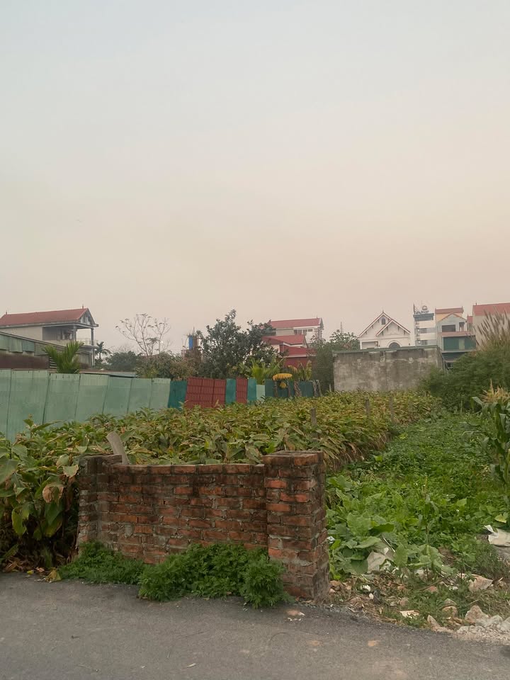 Đất nền mặt đường liên huyện Phúc Thọ 900m² giá 1 tỷ - Cơ hội đầu tư lý tưởng!