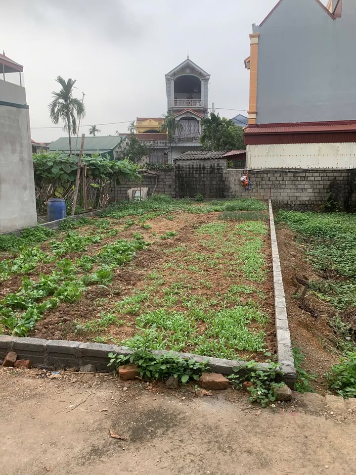 Đất nền Phượng Dực, Huyện Phú Xuyên, 83m² giá 3.3 tỷ - Đầu tư sinh lời ngay!