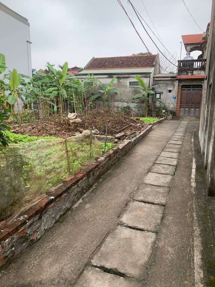 Nhà riêng lô góc Tri Trung Phượng Dực 109m² giá 39.3 tỷ - Đường thông ô tô tải đỗ cửa!