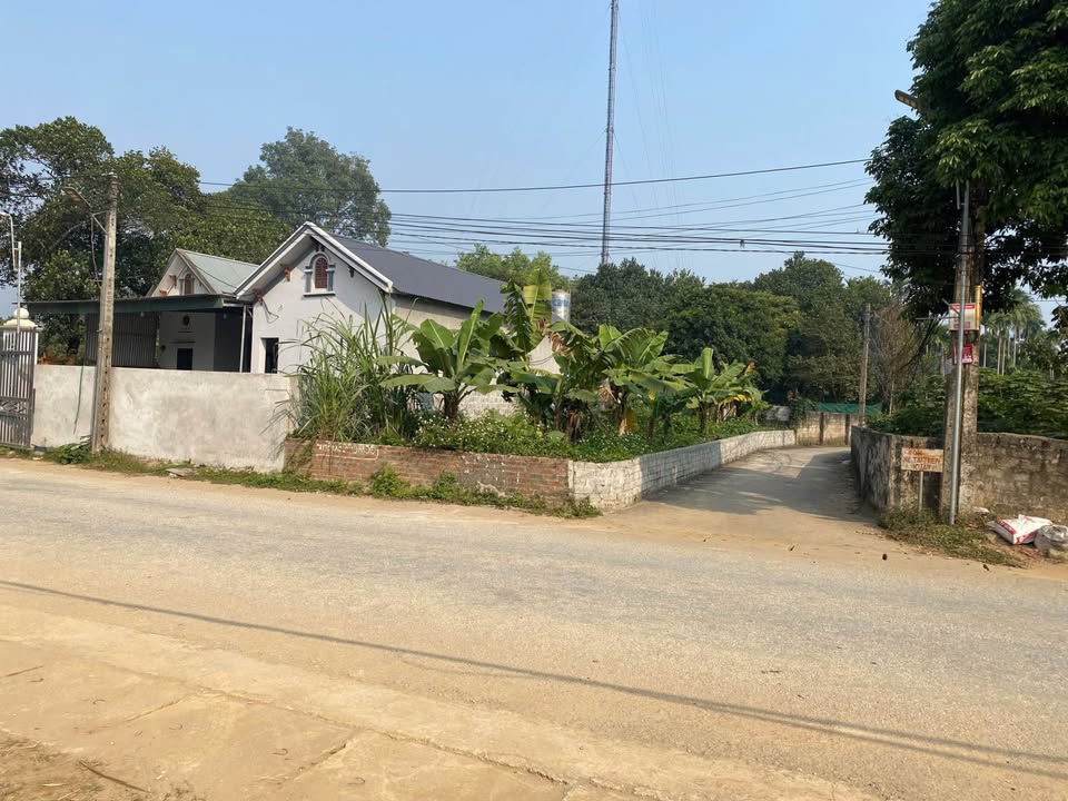 Đất nền mặt tiền Tỉnh lộ 317B, xã Bảo Yên, 165m² - Cơ hội đầu tư tuyệt vời!