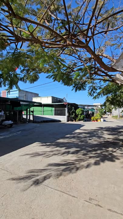 Nhà thổ cư Ninh Chử Đầm Nại 190m² giá 3 tỷ - Đường lớn thông thoáng, kinh doanh thuận lợi!