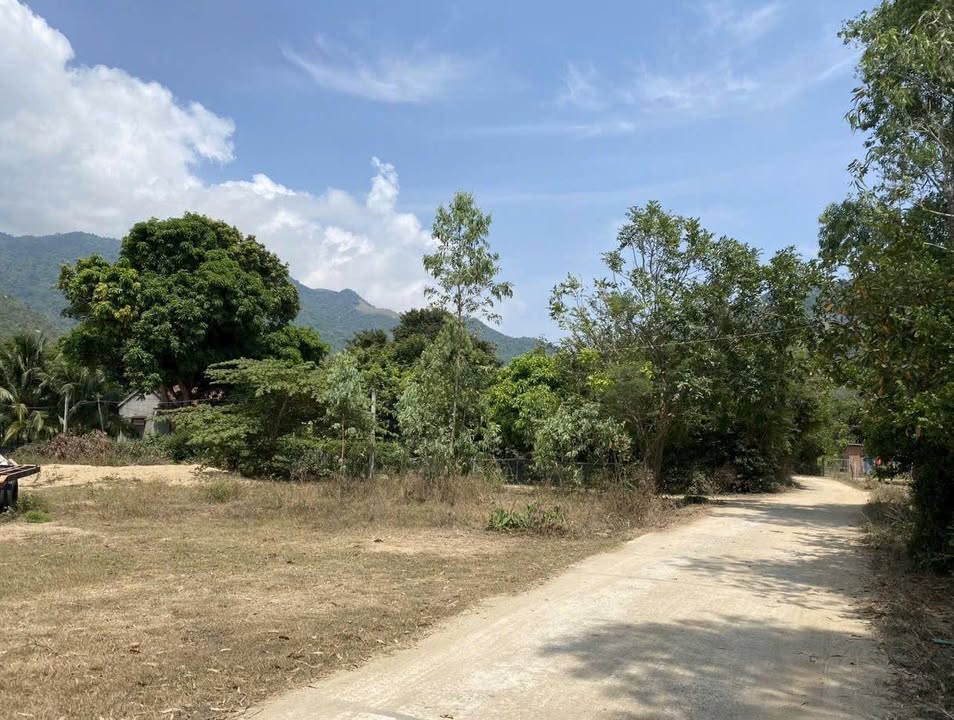 Đất Phân Lô tại khu KT Vân Phong, Vạn Thắng 4304m² giá chỉ 8.6 tỷ - Cơ hội đầu tư tuyệt vời!