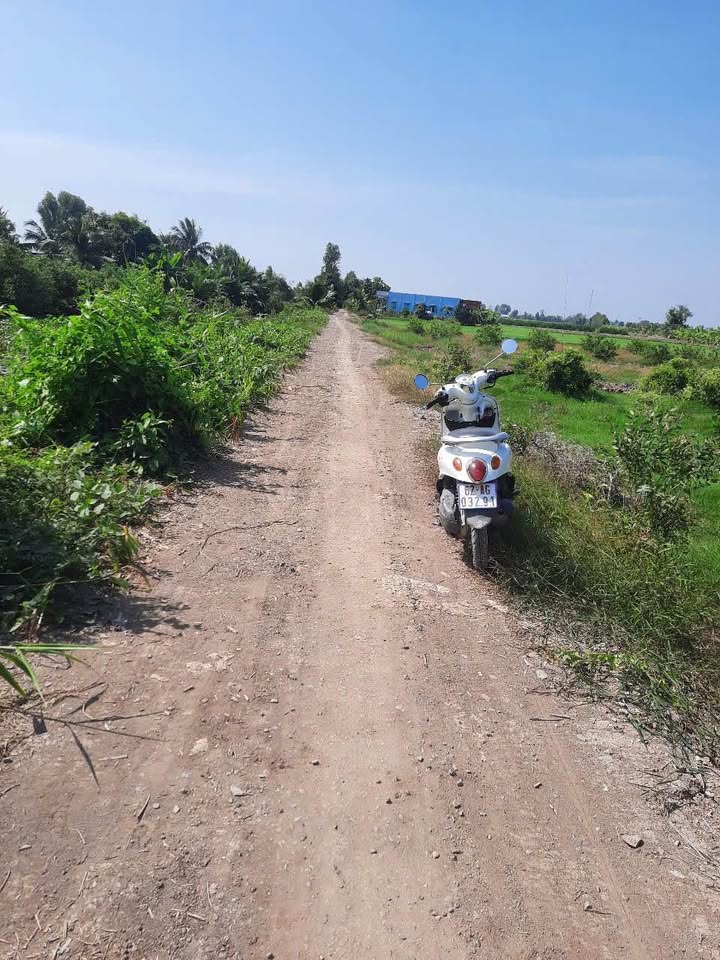 Đất nền Tân Thành Thủ Thừa 743m² giá 1.15 tỷ - Đường xe 16 chỗ, gần khu công nghiệp!