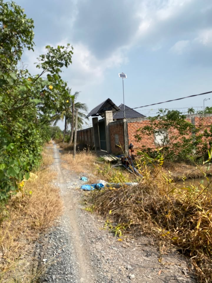 Đất vườn 1000m² Xã Thạnh Hòa Bến Lức giá 790 triệu - Gần TL816!