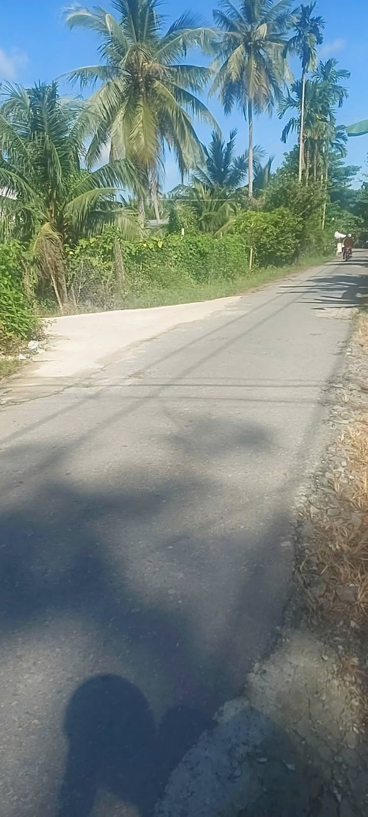 Đất Tân Phú Tây Mỏ Cày Bắc 2497m² giá 2.9 tỷ - Cơ hội đầu tư tuyệt vời!