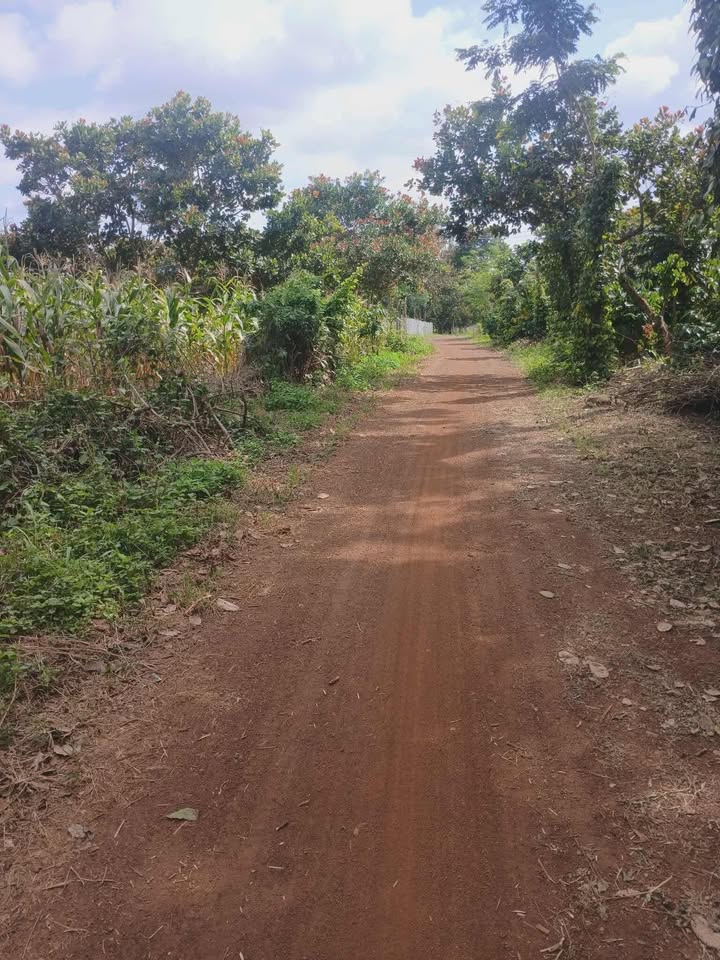 Đất nền xã Quảng Hiệp, Cư M'gar, Đắk Lắk 500m² giá 320 triệu - Sổ đỏ chính chủ