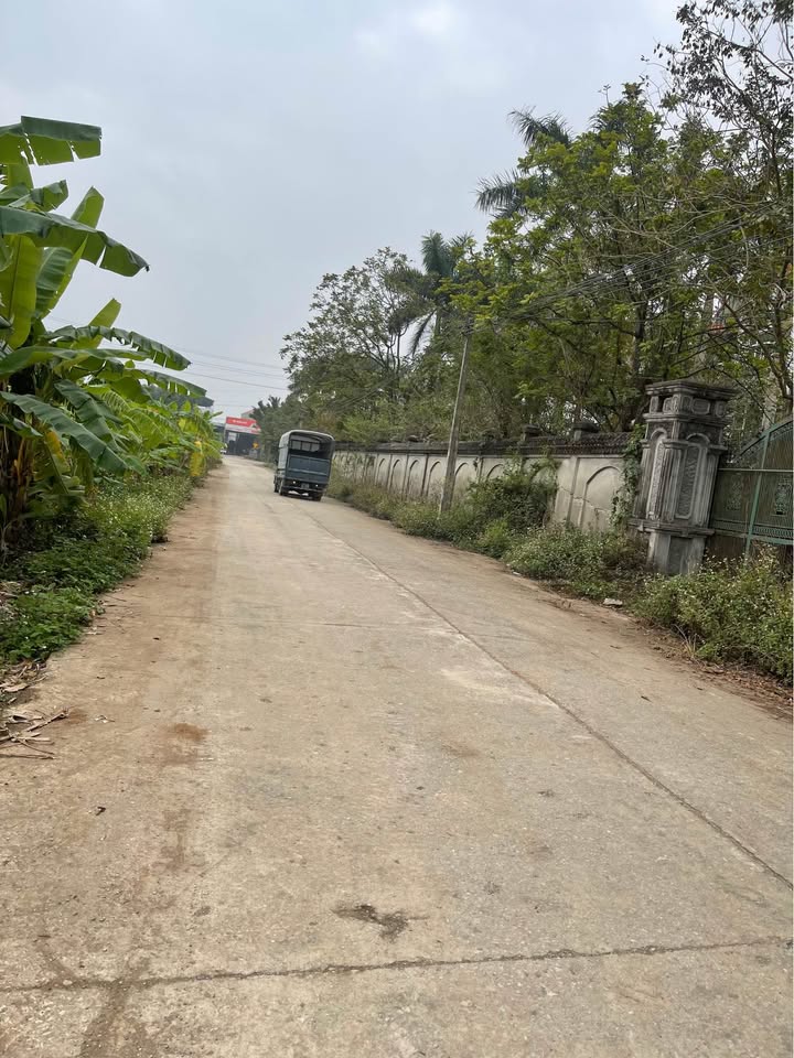 Đất nền 2000m² đường Bích Sơn, Yên Thế - Giá thỏa thuận, hướng Đông thoáng mát!