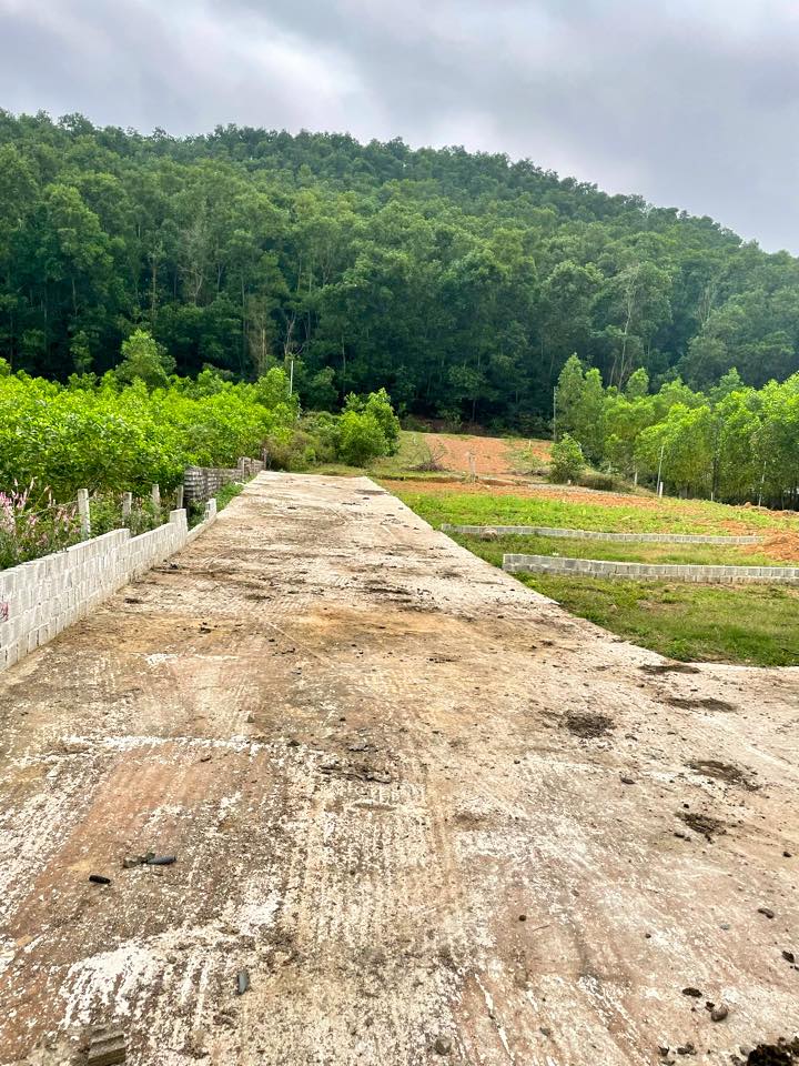 Nhà vườn Hòa Phú Đà Nẵng 1260m² giá 4 tỷ - Đầu tư tiềm năng!