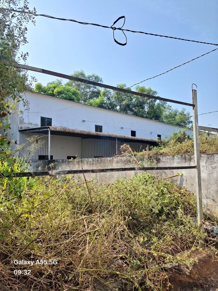 Nhà bán gấp tại Thạnh Phú, Vĩnh Cửu - Diện tích 76m², giá chỉ 490 triệu!