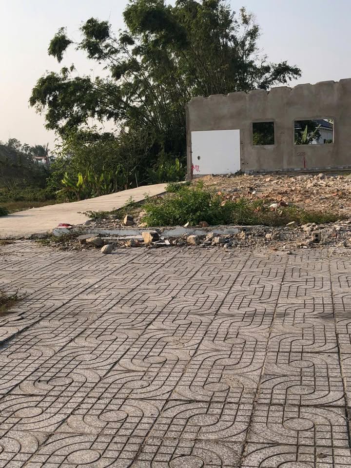 Đất nền Phường Nghi Hòa 220m² giá 6.6 tỷ - Đường Bình Minh thuận lợi!