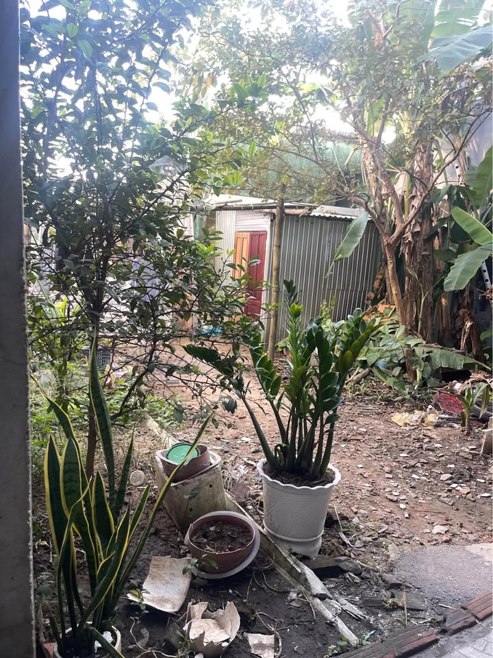 Đất kiệt đường Trường Chinh, Quận Cẩm Lệ, 64m² giá chỉ 2 tỷ - Cơ hội đầu tư hấp dẫn!