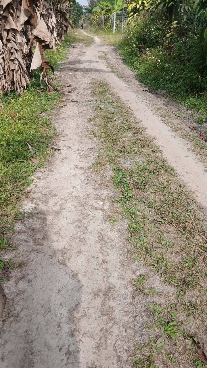 Đất thổ cư 3 sào tại Thôn 2, Hòa Bắc - Giá chỉ 1.2 tỷ!