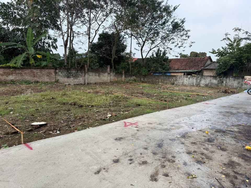 Đất nền khu 14 phường Thanh Miếu 70m² giá 1 tỷ - Cơ hội đầu tư tuyệt vời!