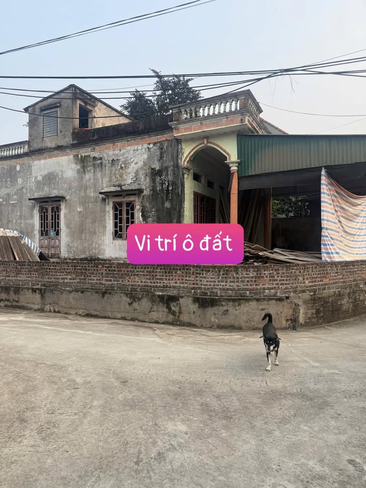 Đất Bảo Yên, Thanh Thủy 386m² giá thỏa thuận - Lô góc hiếm có!