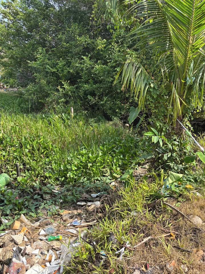 Đất nền Bình Phó A, Long Tuyền 30m² giá 90 triệu - Cơ hội đầu tư hấp dẫn!